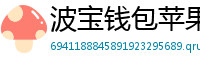波宝钱包苹果版安装教程